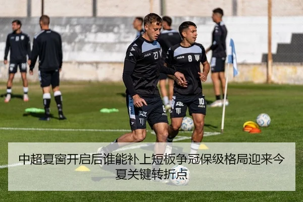 中超夏窗开启后谁能补上短板争冠保级格局迎来今夏关键转折点（xinlangtiyu）